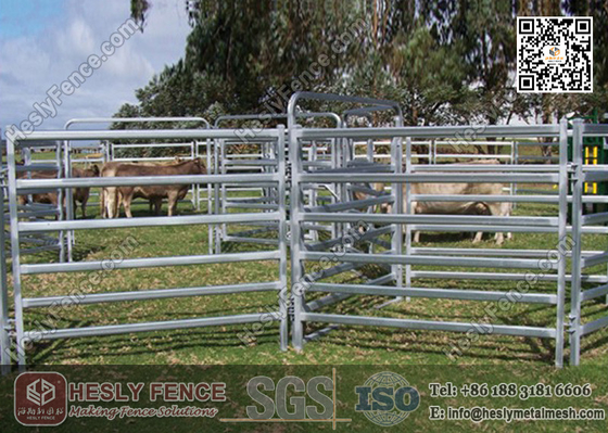 China China 1.6m high Corral Panels (Supplier) | oval pipe Horse Fence Panel supplier