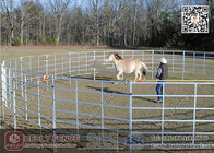China Corral Panels (Supplier) | Livestock Fence | Horse Corral Panels