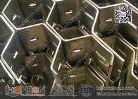 310SS Stainless Steel 2X25X50mm hexagonal Mesh China Factory / Supplier