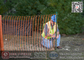 Safety Barrier Fence | Orange Color Plastic Safety Mesh Fencing supplier