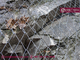 High Tensile Steel Wire Mesh | Rockfall drapery Mesh system | 3.0mm wire | 65mm hole | High Zinc Coating  HESLY supplier