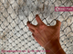 3mm steel wire, 30mm hole, 1770Mpa high tensile strength, Chain Link Mesh Fence, 150g zinc layer, China HeslyFence supplier